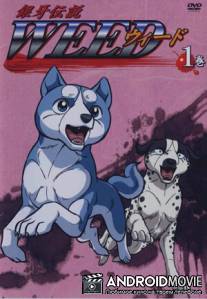 Легенда о Серебряном Клыке Уиде / Ginga densetsu weed