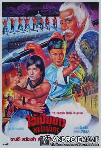 10 братьев Шаолиня / Shi da di zi