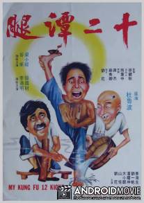 12 ударов / Shi er tan tui