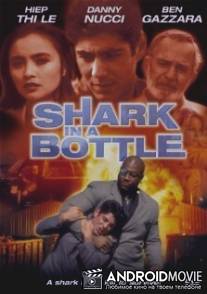 Акула в бутылке / Shark in a Bottle