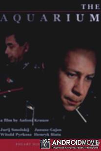 Аквариум / Akwarium