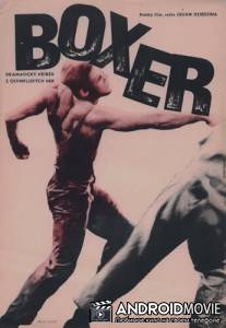 Боксер / Bokser