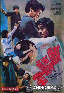 Брюс Ли и я / Qi lin zhang