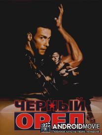 Черный орел / Black Eagle