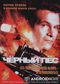 Черный пес / Black Dog