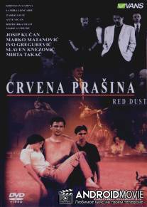 Crvena prasina