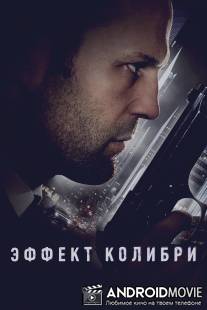 Эффект колибри / Hummingbird