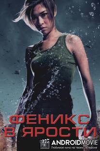 Феникс в ярости / Jija - Deu suay doo