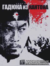 Гадюка из Кантона / Gwandongsalmusa