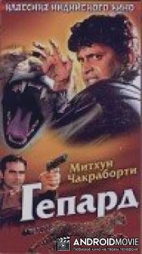 Гепард / Cheetah