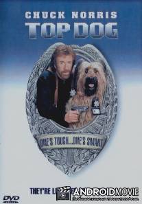 Главная собака / Top Dog