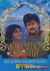 Изнанка жизни / Sone Pe Suhaaga