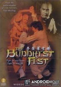 Кулак буддиста / Fo zhang luo han quan