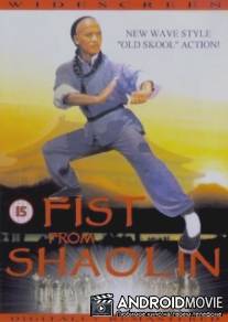 Кулак из Шаолиня / Huang Fei Hong zhi nan er dang bao guo