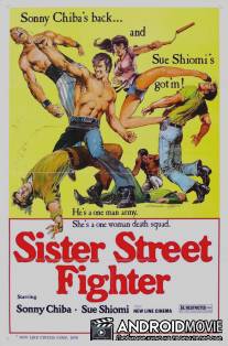 Леди карате / Onna hissatsu ken