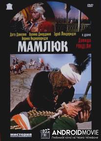 Мамлюк / Mamluqi