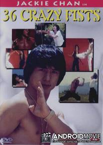 Мастер и боксер / San shi liu mi xing quan