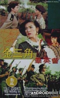Миссия справедливости / Jin san jiao qun ying hui