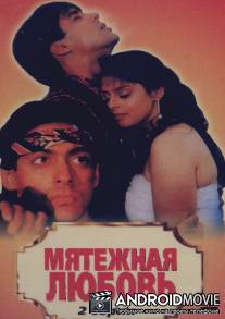 Мятежная любовь / Baaghi: A Rebel for Love