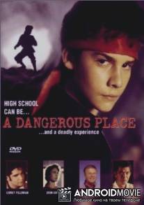 Не сдавайся / A Dangerous Place
