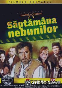 Неделя безумных / Saptamina nebunilor