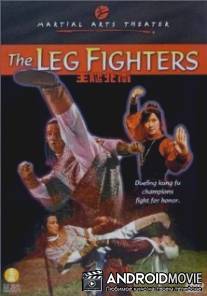 Непобедимые ноги кунг-фу / Nan bei tui wang