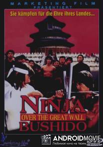 Ниндзя на Великой стене / Long huo chang cheng