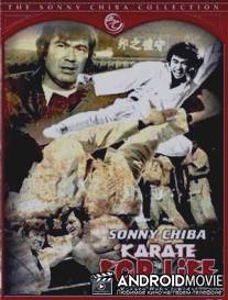Обреченный на одиночество 3 / Karate baka ichidai