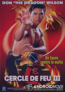 Огненное кольцо 3: Удар льва / Lion Strike