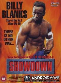 Окончательное решение / Showdown