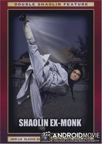 Отшельник Шаолиня / Si liang bo qian jin