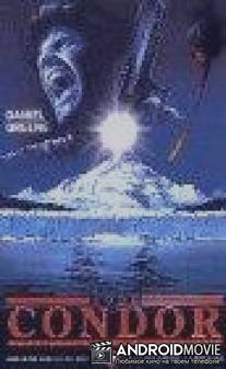 По следу 'Кондора' / Sulle tracce del condor