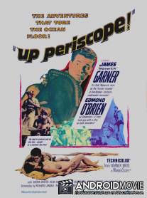 Поднять перископ / Up Periscope