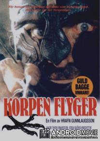 Полет ворона / Hrafninn flygur