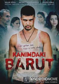 Порох в моей крови / Kanimdaki Barut