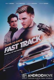 Прирожденный гонщик 2 / Born to Race: Fast Track