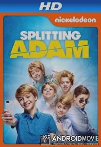 Расщепление Адама / Splitting Adam