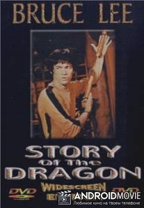 Секрет Брюса Ли / Yong chun jie quan