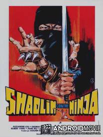 Шаолинь против ниндзя / Shao Lin yu ren zhe