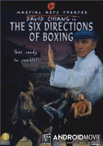 Шесть направлений ударов / Liu he ba fa