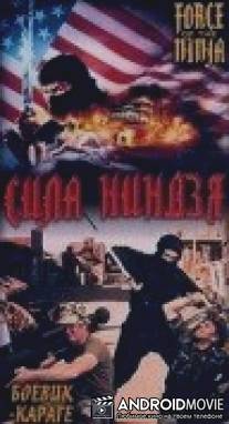 Сила ниндзя / Force of the Ninja
