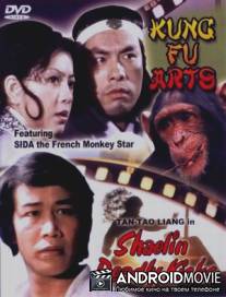 Смертельные удары Шаолиня / Tai ji ba jiao