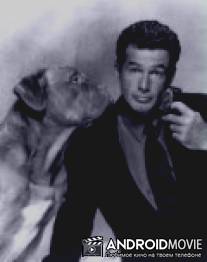 Собачье дело / Tequila and Bonetti