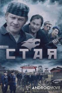 Стая / Staya
