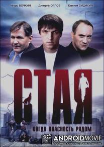 Стая / Staya