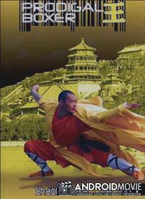 Супербоксер / Fang Shi Yu