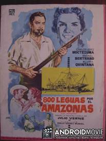 Тайна Жоао Корраль / 800 leguas por el Amazonas o (La jangada)