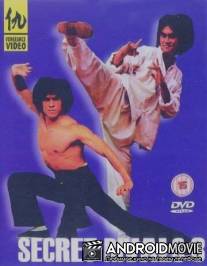 Тайные соперники 3 / Xin nan quan bei tui