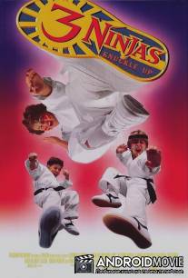 Три ниндзя: Костяшки вверх / 3 Ninjas Knuckle Up