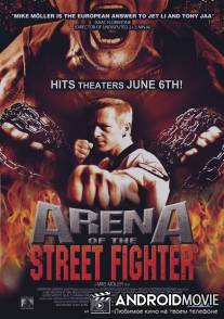 Уличный боец / Arena of the Street Fighter